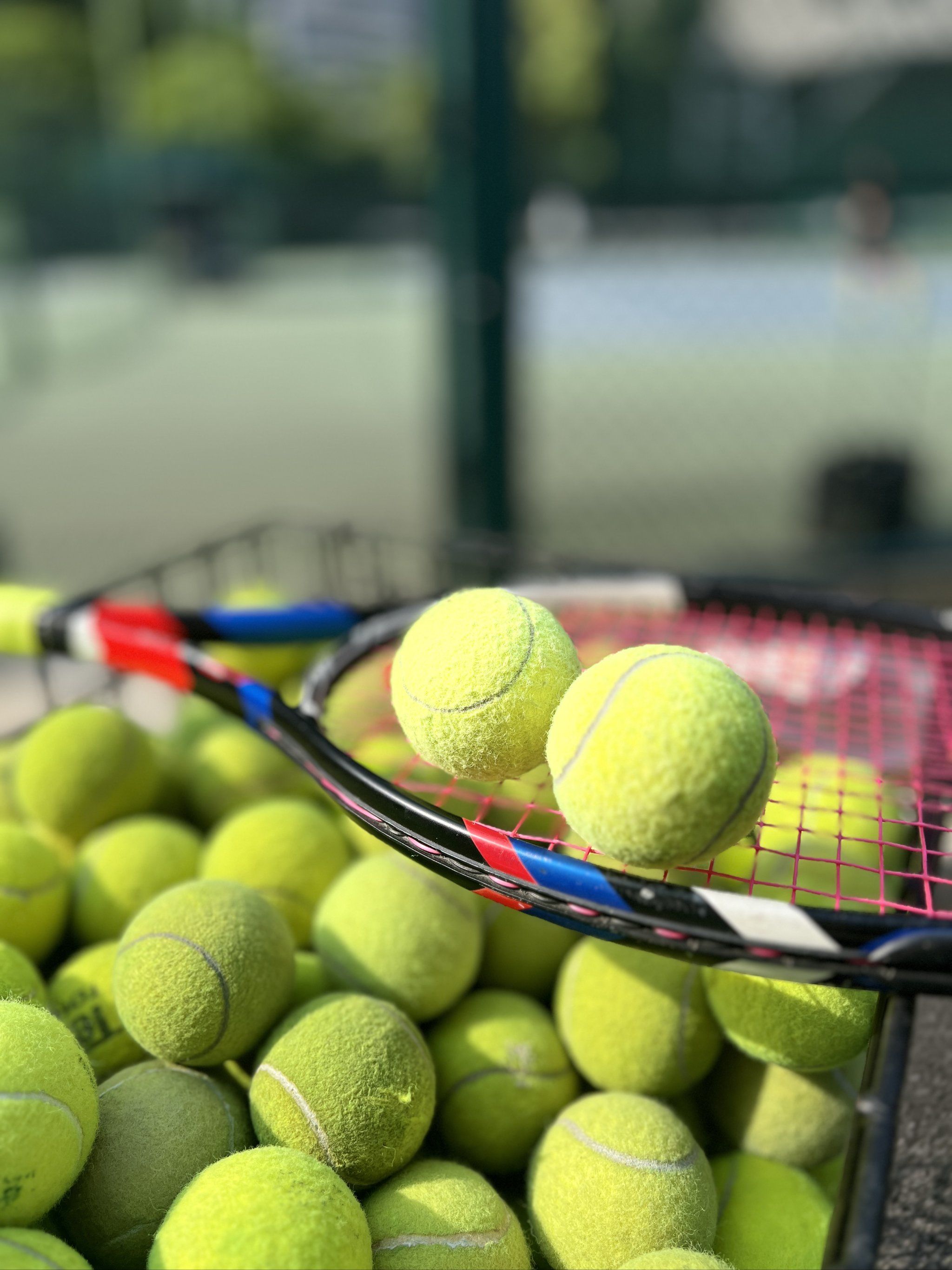 托雷正是意 托雷正是意