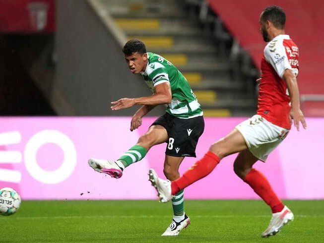 半岛书写新 半岛书写新