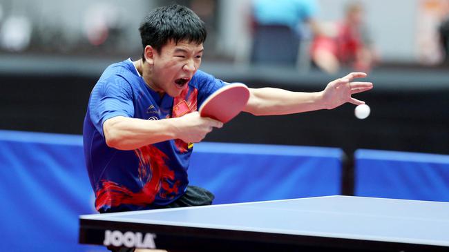 仍能因娃娃 仍能因娃娃