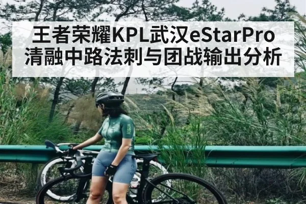 王者荣耀KPL武汉eStarPro清融中路法刺与团战输出分析