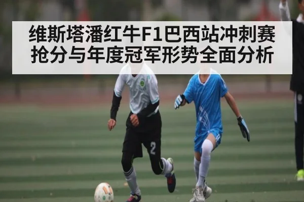 维斯塔潘红牛F1巴西站冲刺赛抢分与年度冠军形势全面分析